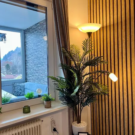 Appartamento Borgers Berg Blick