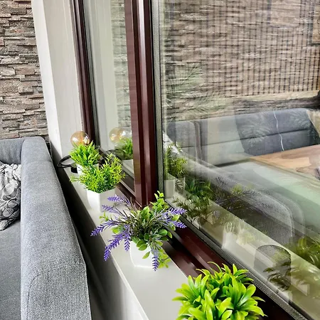 Borgers Berg Blick Lejlighed *