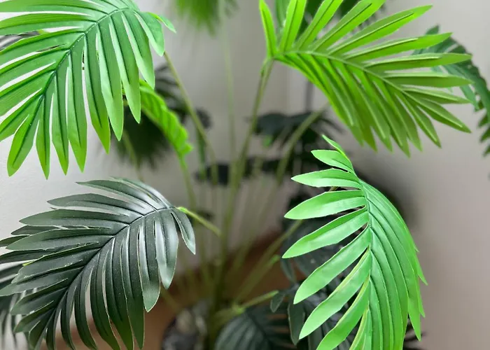 Borgers Berg Blick דירה